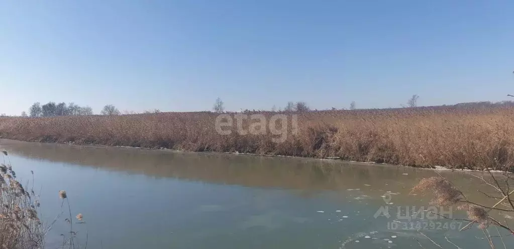 Участок в Приморский край, Надеждинский район, пос. Зима Южная ул. ... - Фото 0