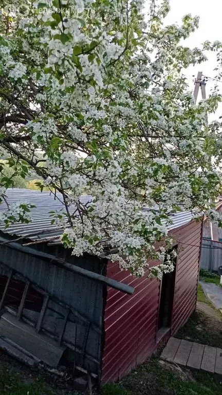 Дом в Прокопьевск, улица Говорова (38.4 м) - Фото 2