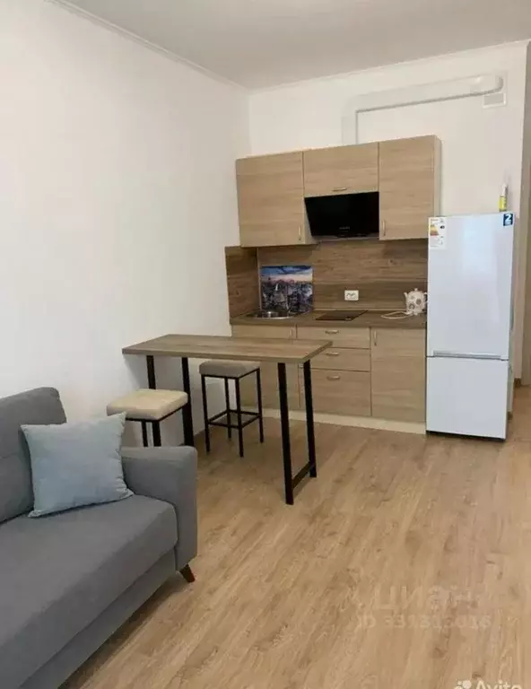 Студия Санкт-Петербург ул. Плесецкая, 20к1 (26.0 м) - Фото 2