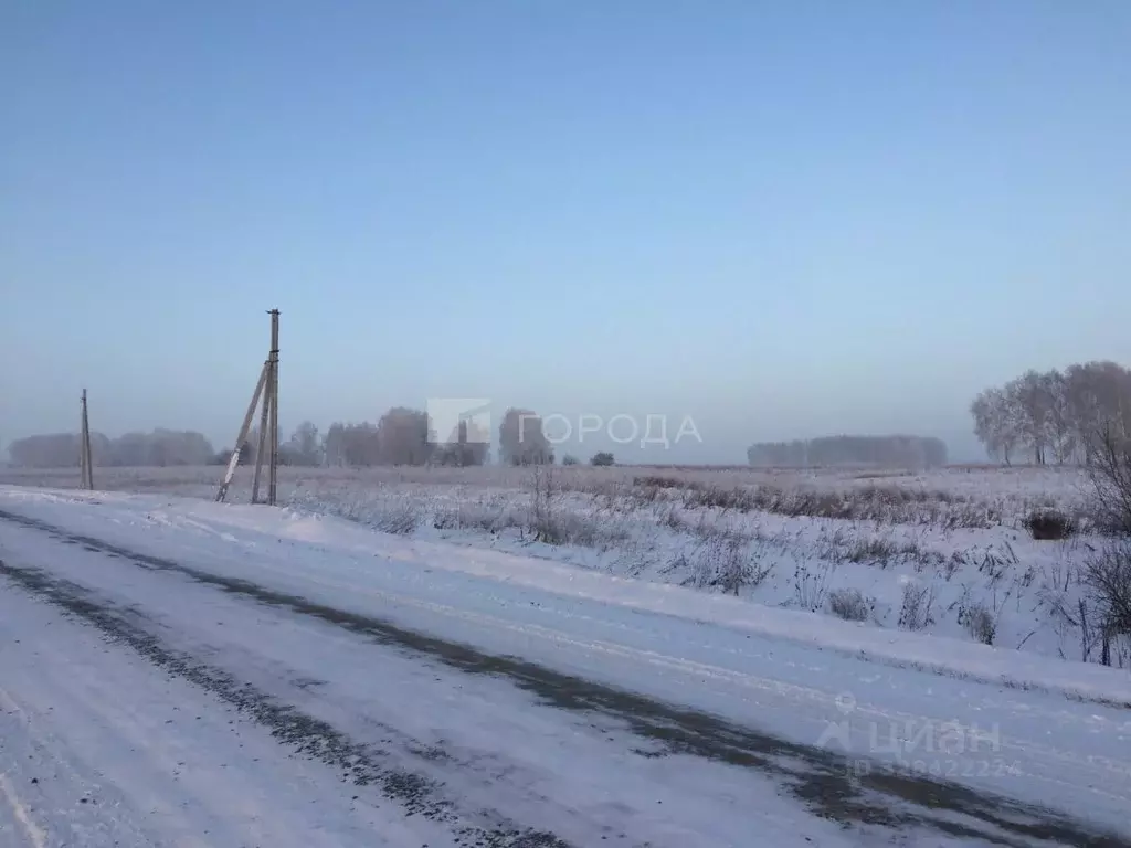 Участок в Новосибирская область, Мошковский район, с. Томилово  (11.0 ... - Фото 1