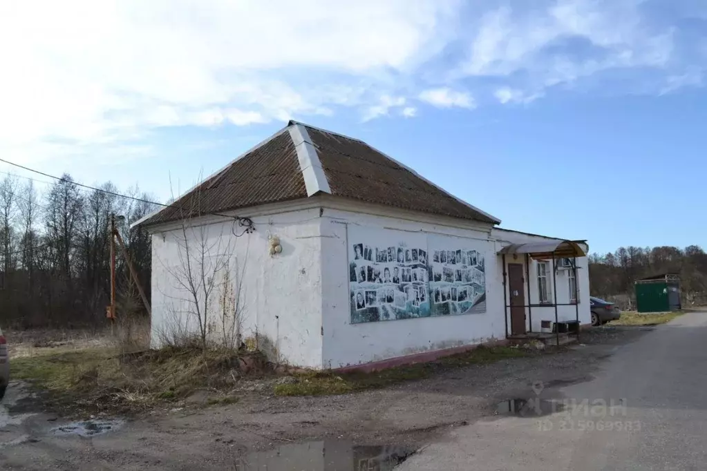 Торговая площадь в Московская область, Воскресенск городской округ, д. ... - Фото 1