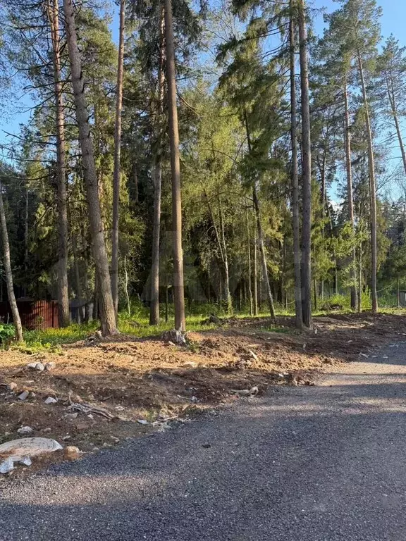 Участок 5,4 сот. (ИЖС) - Фото 1