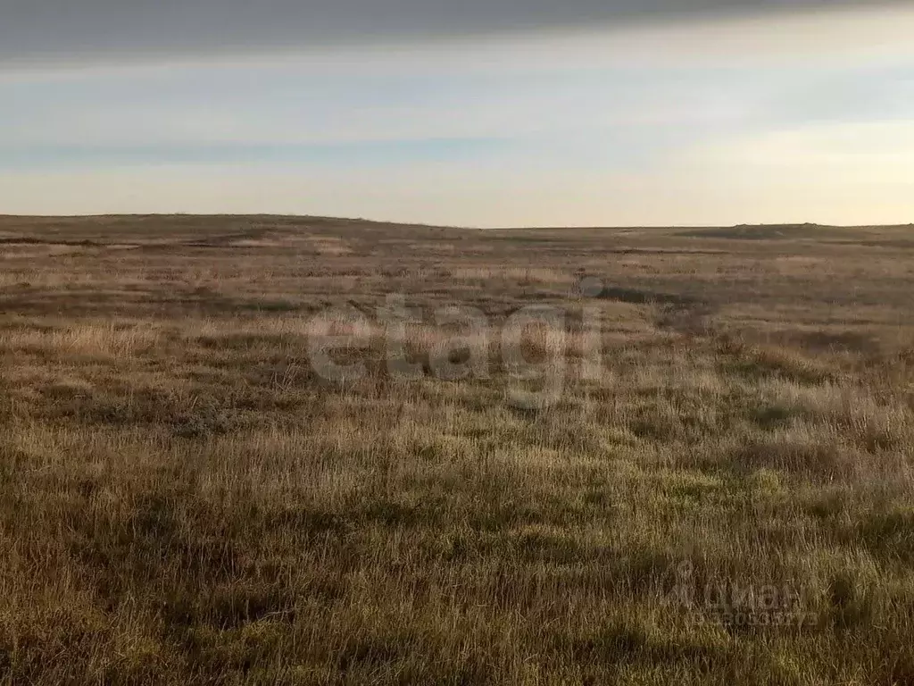 Участок в Крым, Ленино пгт ул. Трудовая (10.31 сот.) - Фото 1