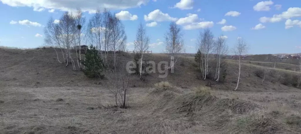 Участок в Алтайский край, Барнаул городской округ, Поселок Казенная ... - Фото 1