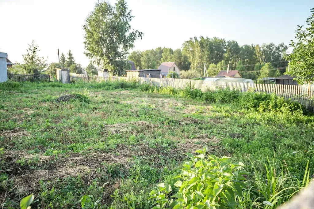 Дом в Бердск, СНТ Ива, 9-я улица (10 м) - Фото 1