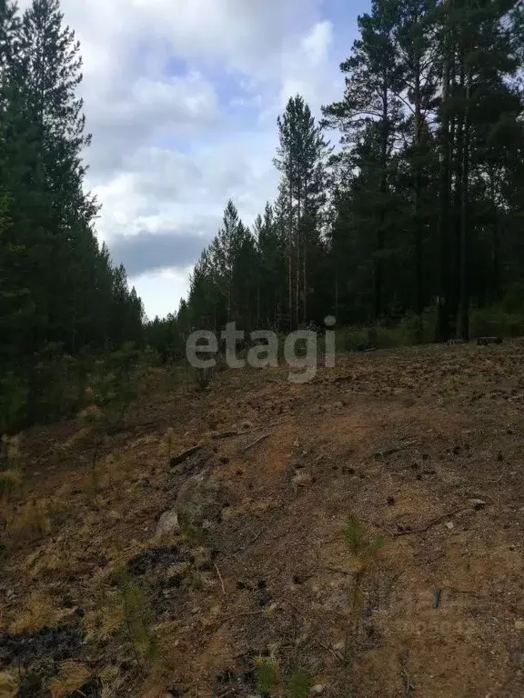 Участок в Забайкальский край, Читинский район, Усадьба ДНТ  (8.0 сот.) - Фото 0