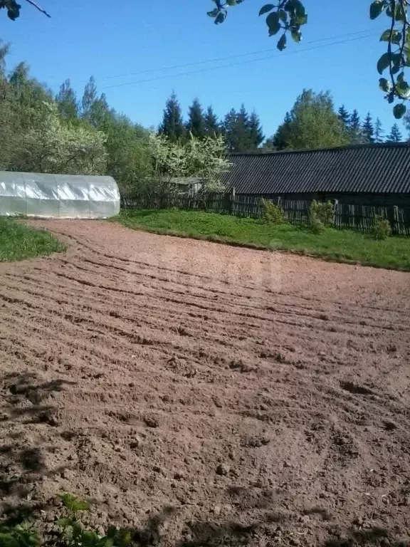 Дом в Псковская область, Пушкиногорье городское поселение, д. Гарино ... - Фото 1