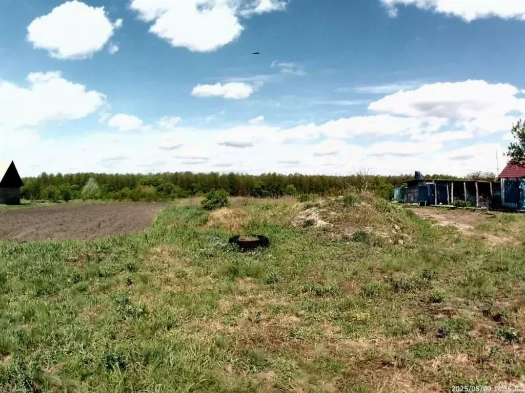 Участок в Белгородская область, Старооскольский городской округ, с. ... - Фото 2