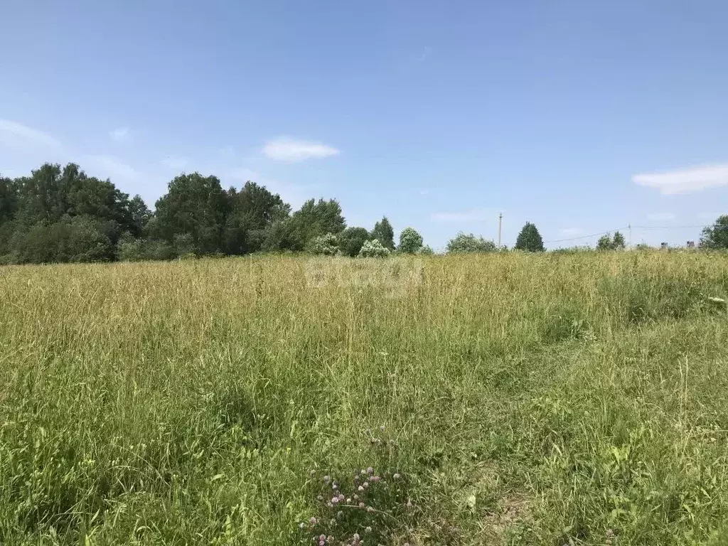 Участок в Калужская область, Тарусский муниципальный округ, Похвиснево ... - Фото 1