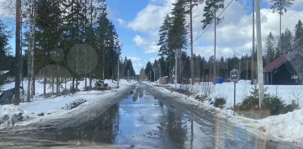 Участок 12 сот. (СНТ, ДНП) - Фото 0