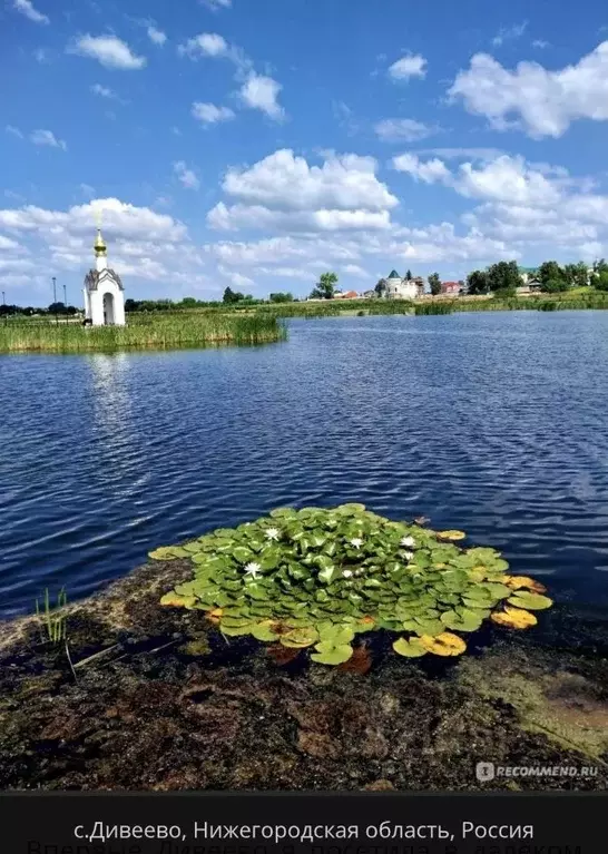 Участок в Нижегородская область, с. Дивеево ул. Заречная, 78 (3358.0 ... - Фото 1