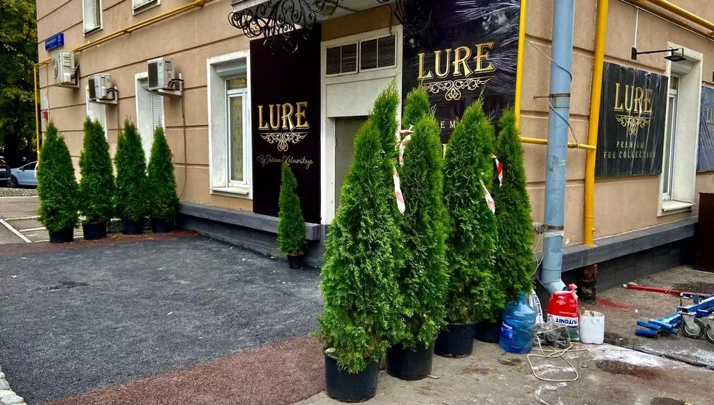 Помещение свободного назначения в Москва ул. Кржижановского, 23К5 (300 ... - Фото 1