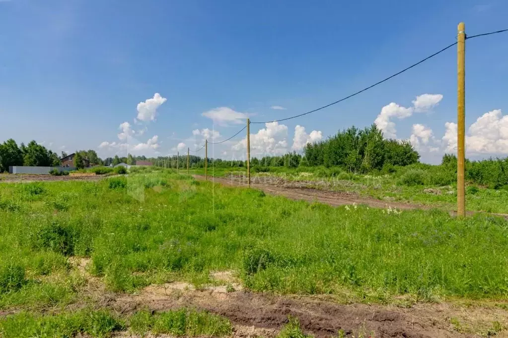 Участок в Тюменская область, Тюмень  (6.0 сот.) - Фото 1