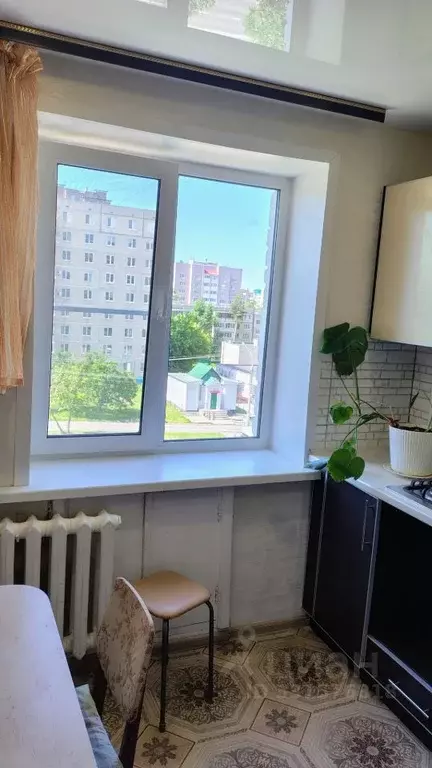 1-к кв. Чувашия, Чебоксары ул. Гузовского, 40 (33.0 м) - Фото 1