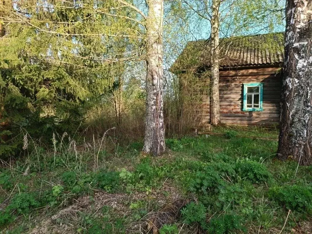 Помещение свободного назначения в Тверская область, Рамешковский ... - Фото 1