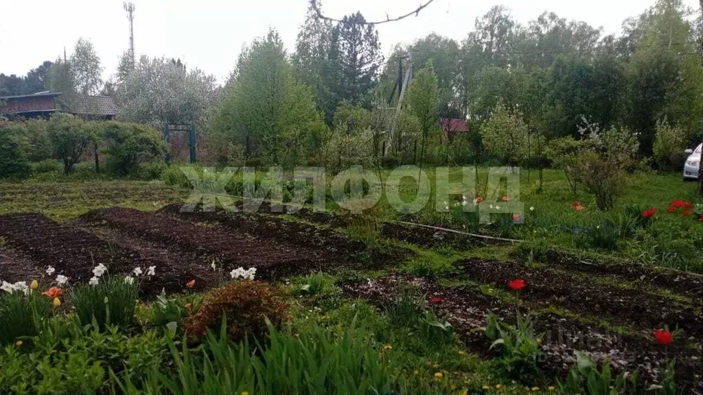 Дом в Новосибирская область, Новосибирский район, Березовский ... - Фото 1