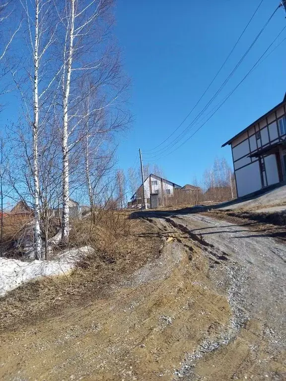 Участок в Новосибирская область, Новосибирский район, Барышевский ... - Фото 0