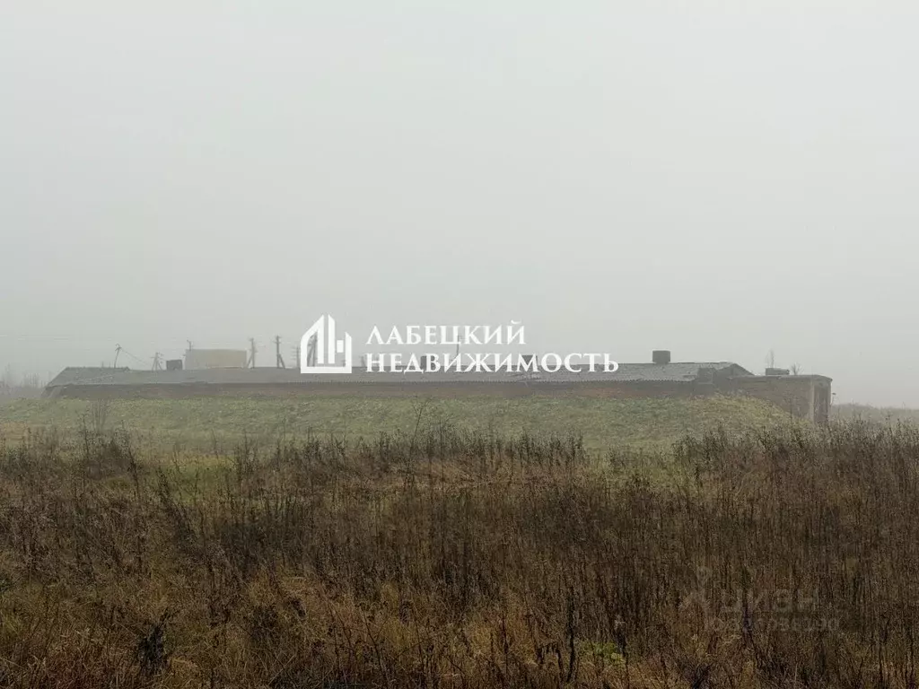 Помещение свободного назначения в Ленинградская область, Волосовский ... - Фото 1