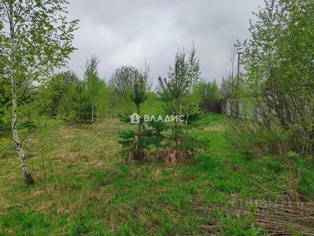 Участок в Московская область, Щелково городской округ, с. Петровское ... - Фото 2