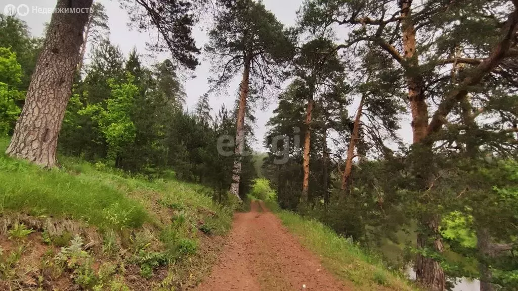 Помещение свободного назначения (300 м) - Фото 0