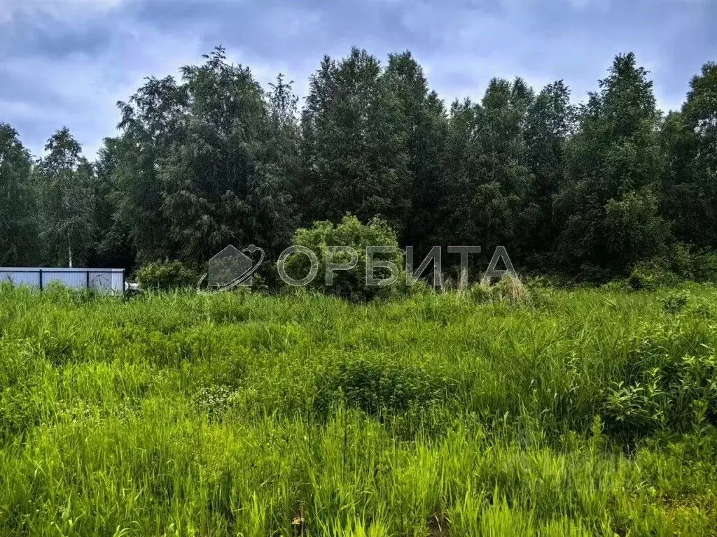 Участок в Тюменская область, Тюмень Якорь садовое товарищество, ул. ... - Фото 1