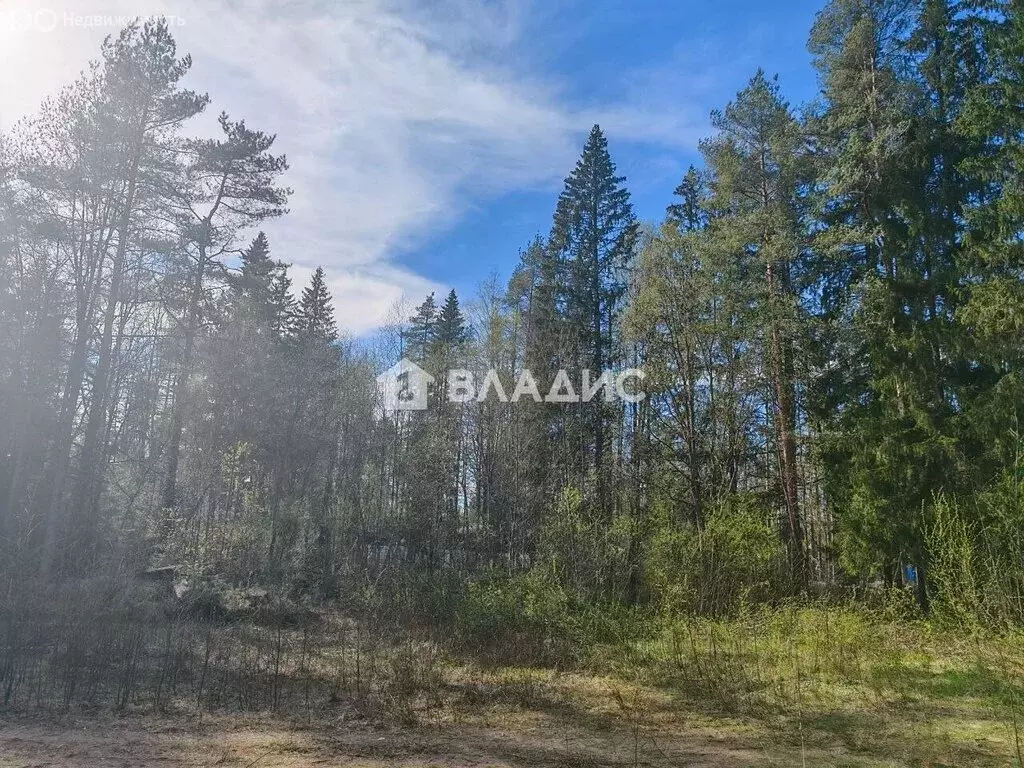 Участок в городской посёлок Рощино, Лесная улица, 8А (19.99 м) - Фото 2