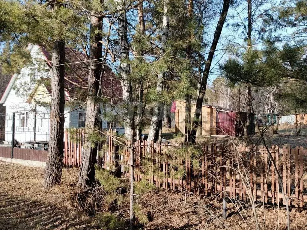 Дом в Новосибирская область, Колыванский район, с. Новотырышкино ... - Фото 2