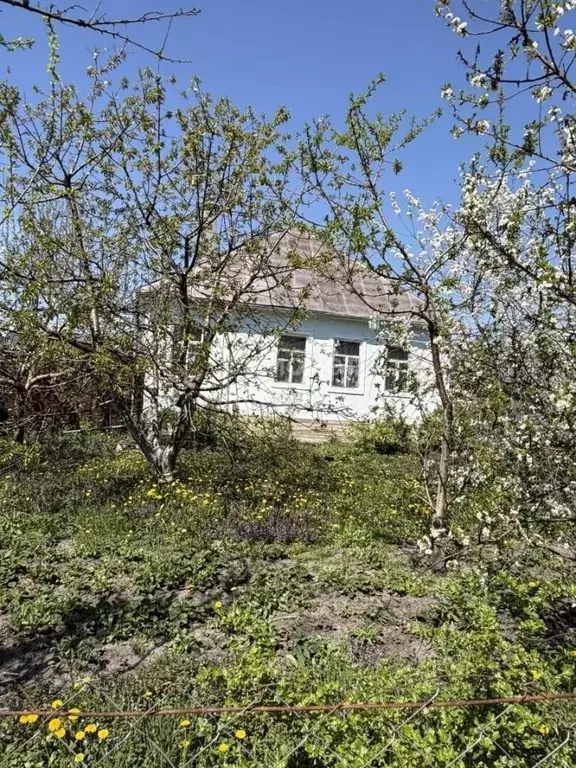 Дом в Курская область, Курский район, Полевской сельсовет, д. Еремино ... - Фото 1