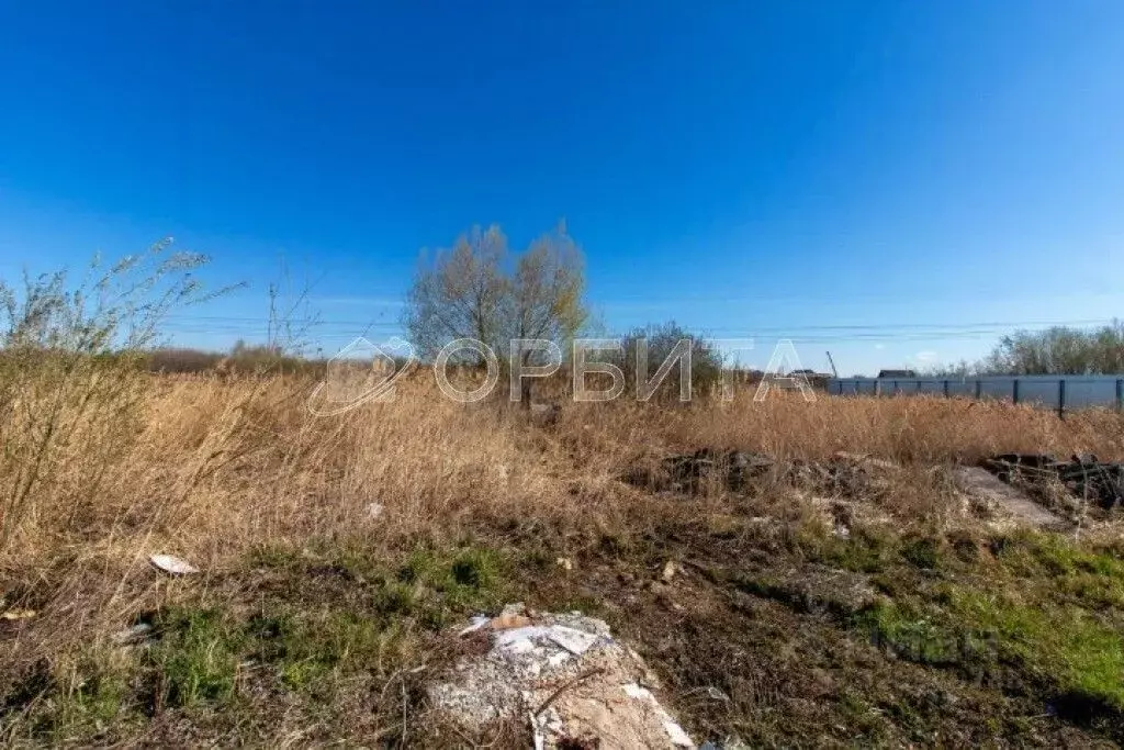 Участок в Тюменская область, Тюмень Энергостроитель СНТ, ул. Липовая ... - Фото 1