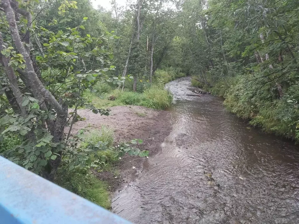 Участок в Камчатский край, Елизовский муниципальный округ, ... - Фото 1