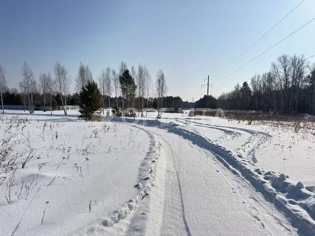 Участок в Тюменская область, Тюменский район, с. Ембаево  (7.1 сот.) - Фото 1