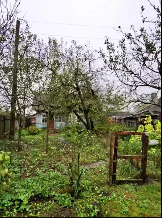 Дом в Брянская область, Брянский район, Отрадненское с/пос, д. ... - Фото 1