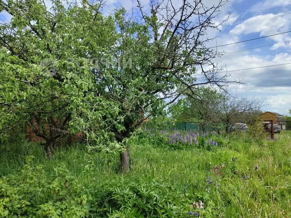 Дом в Чувашия, Канаш ул. Толстого, 35 (33 м) - Фото 2