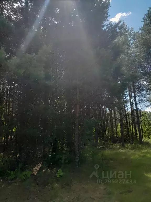 Участок в Нижегородская область, Арзамас городской округ, с. Наумовка  ... - Фото 0