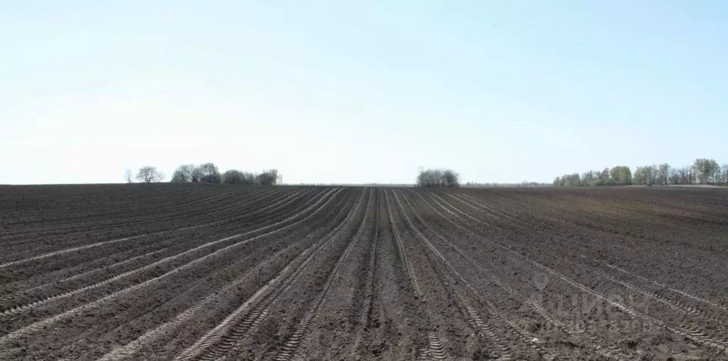 Производственное помещение в Алтайский край, Волчихинский район, ... - Фото 0