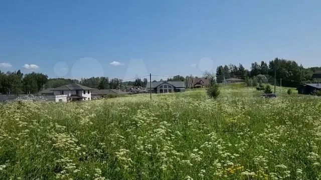 Участок 1,08 га (ИЖС) - Фото 1