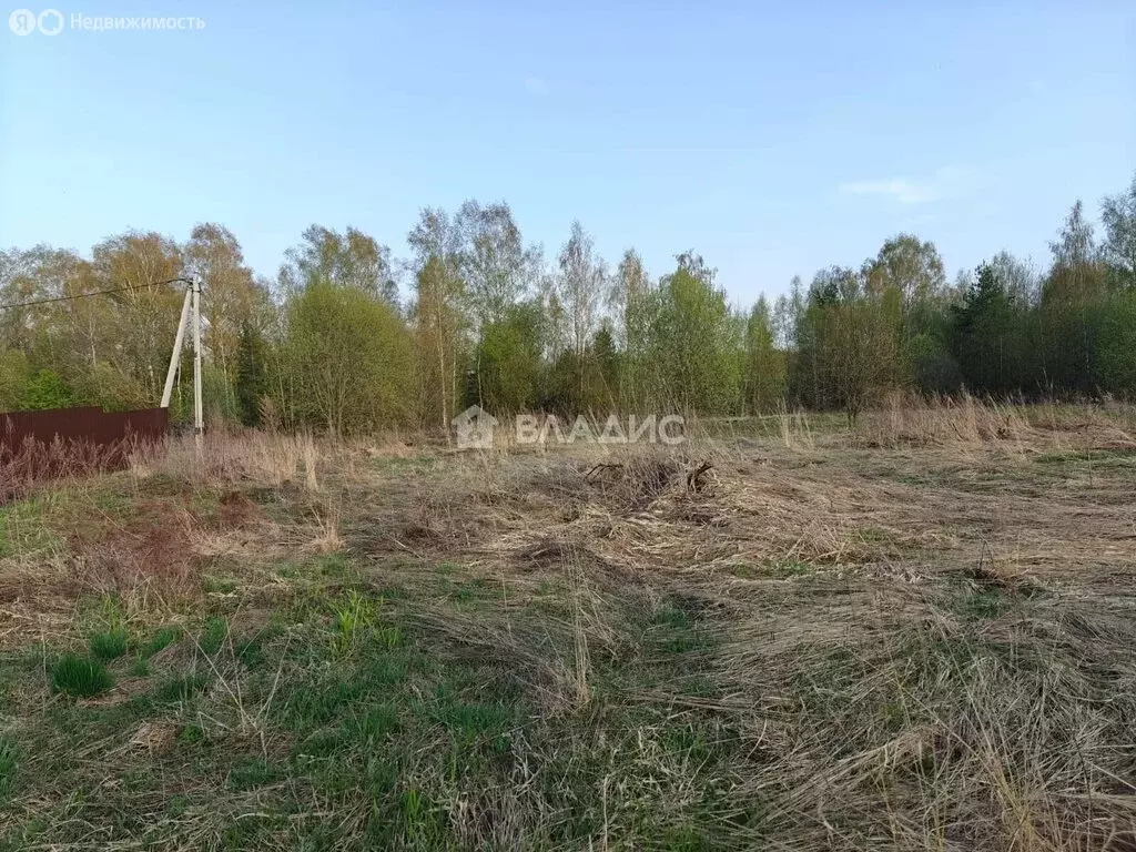 Участок в муниципальное образование Новосельское, деревня Бабёнки (12 ... - Фото 1