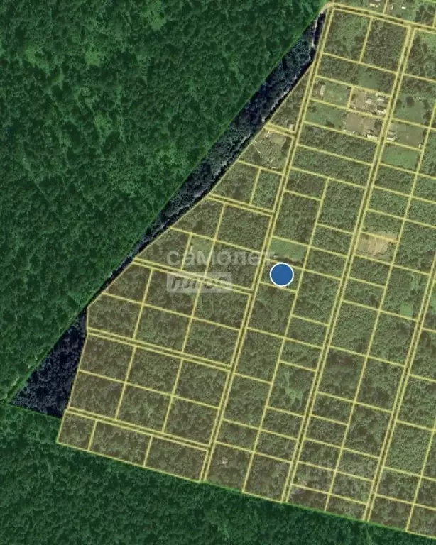 Участок в Иркутская область, Иркутский муниципальный округ, Пчелка СНТ ... - Фото 1