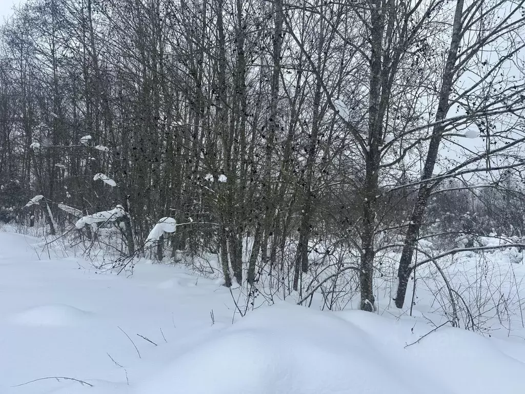 Участок в Московская область, Рузский муниципальный округ, д. ... - Фото 2