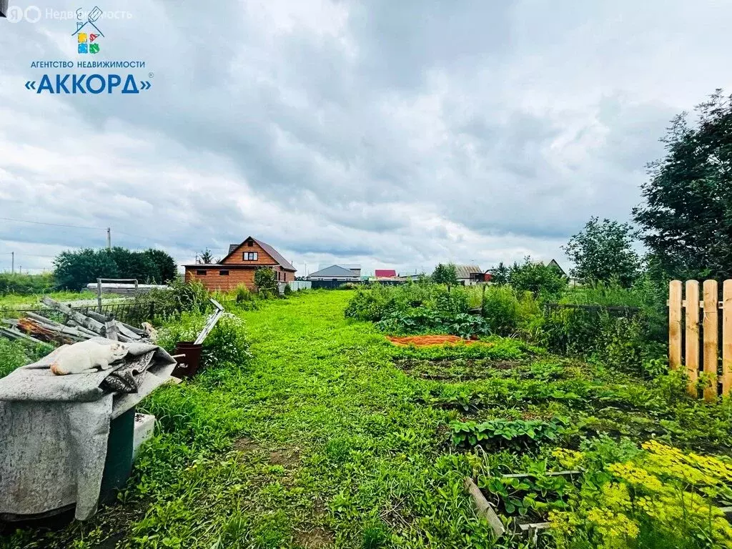 Дом в Первомайский район, село Берёзовка, Новая улица (36.7 м) - Фото 0