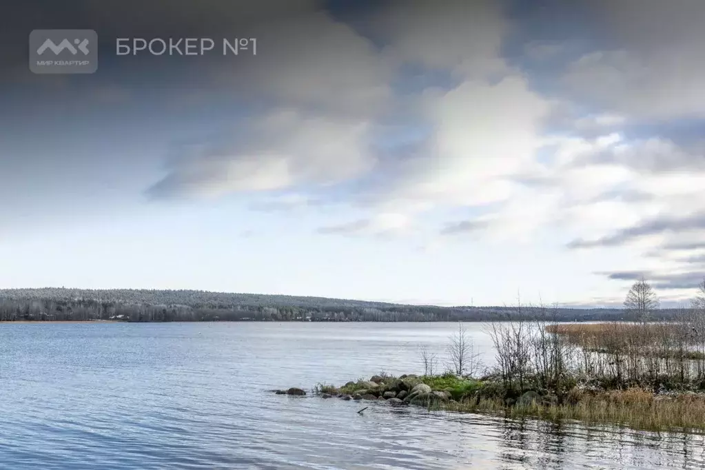 Участок в Ленинградская область, Выборгский район, Рощинское городское ... - Фото 2