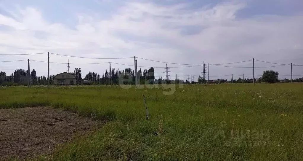 Участок в Саратовская область, Балашовский район, Хоперское ... - Фото 2