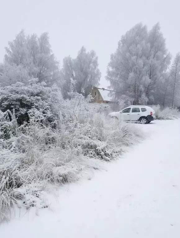 Участок в Тульская область, Щекинский район, Огаревское с/пос, д. ... - Фото 1