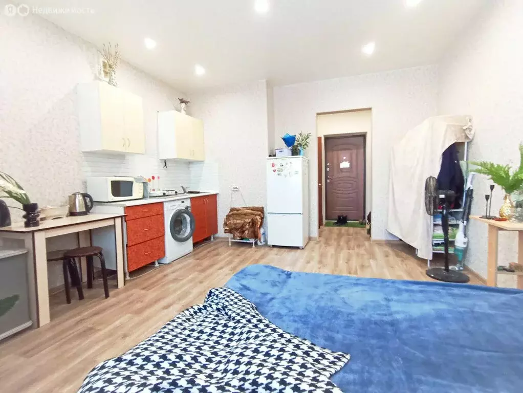 Квартира-студия: село Чигири, Красная улица, 5/1 (23.5 м) - Фото 1