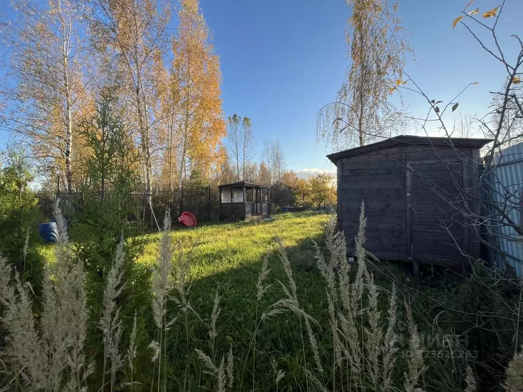 Участок в Санкт-Петербург Сергиево тер., ул. Красная (5.3 сот.) - Фото 1