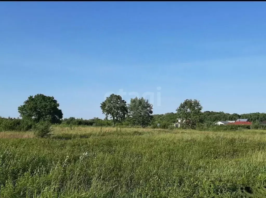 Участок в Калининградская область, Зеленоградск ул. Задорная, 6 (7.36 ... - Фото 1