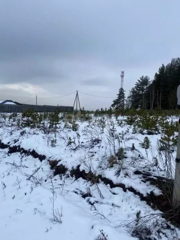 Дом в Свердловская область, Сысертский городской округ, с. Черданцево ... - Фото 1