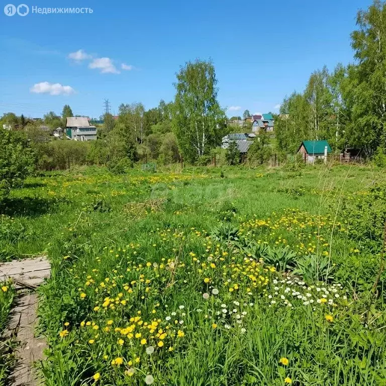 Дом в Кемеровский муниципальный округ, СДТ Русское поле (30 м) - Фото 2