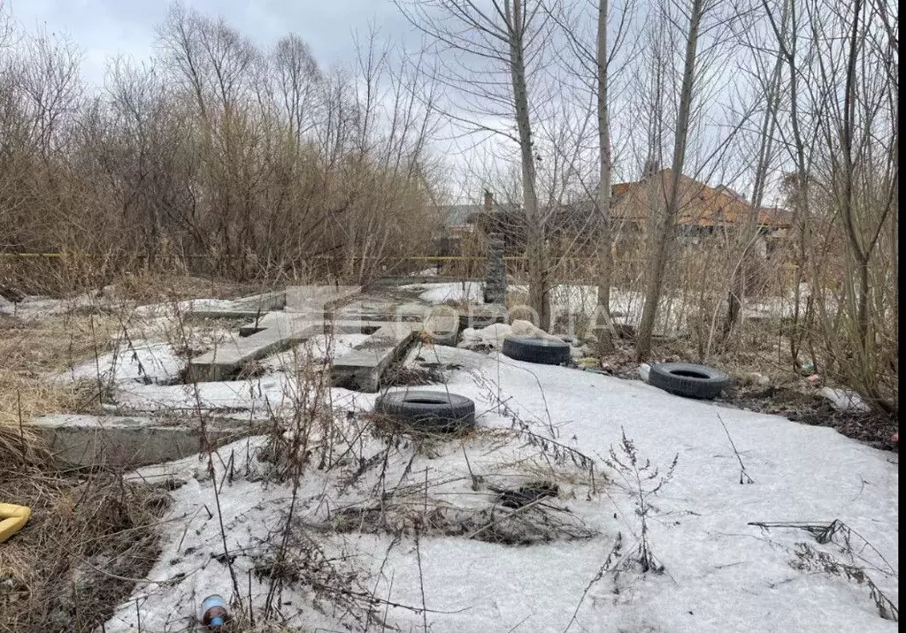 Участок в Новосибирская область, Новосибирск Черемушки СНТ, 104А (12.0 ... - Фото 1