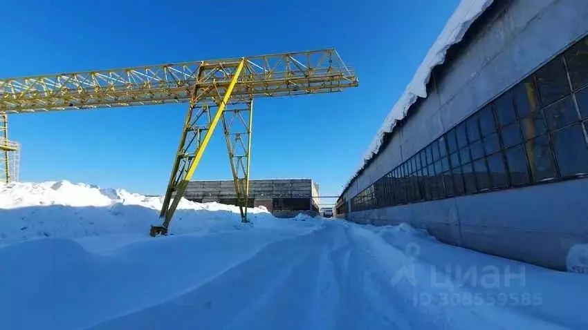 Помещение свободного назначения в Нижегородская область, Нижний ... - Фото 0